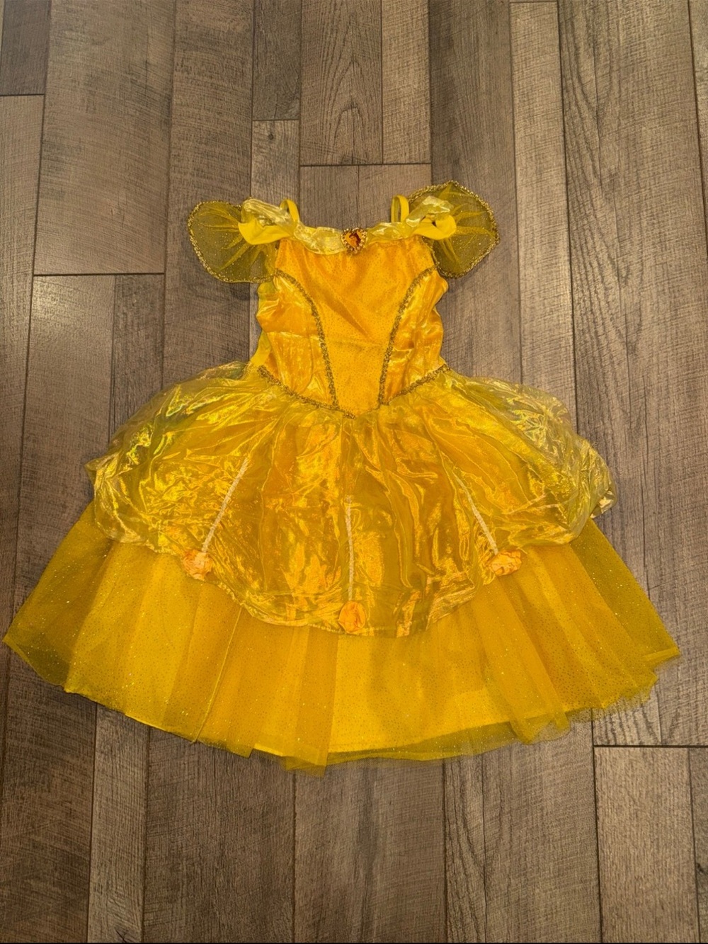 Disney Princess Belle Costume (6-6x)